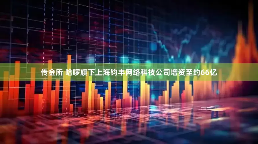 传金所 哈啰旗下上海钧丰网络科技公司增资至约66亿