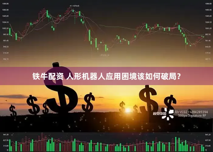 铁牛配资 人形机器人应用困境该如何破局？