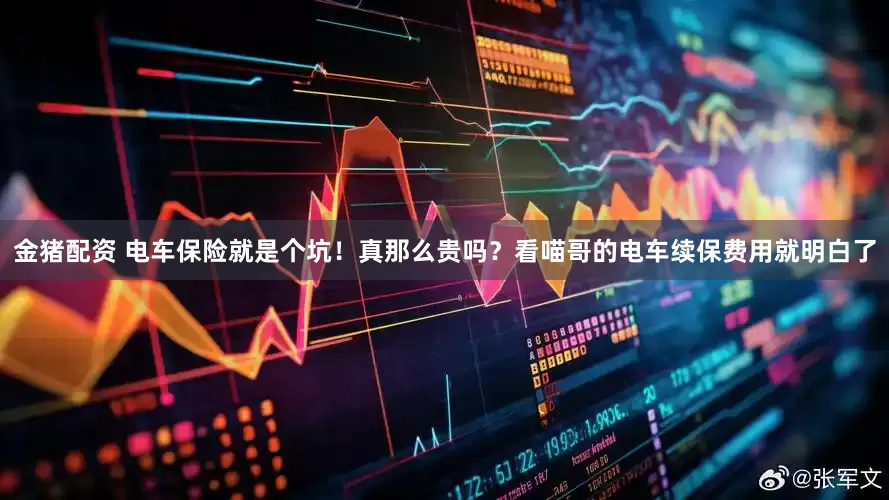 金猪配资 电车保险就是个坑！真那么贵吗？看喵哥的电车续保费用就明白了