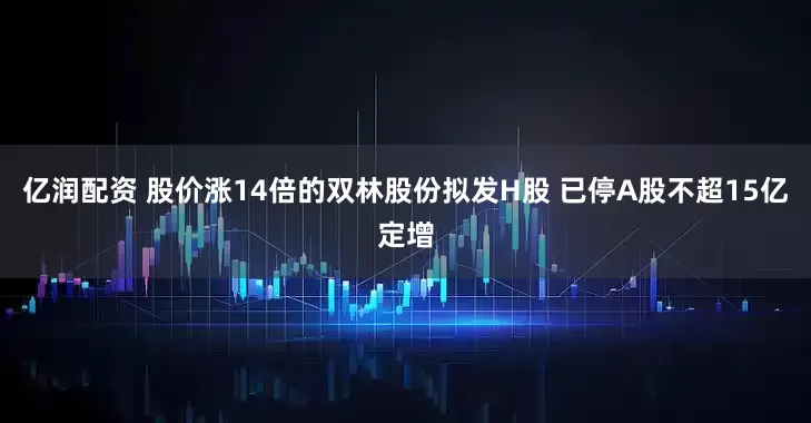 亿润配资 股价涨14倍的双林股份拟发H股 已停A股不超15亿定增
